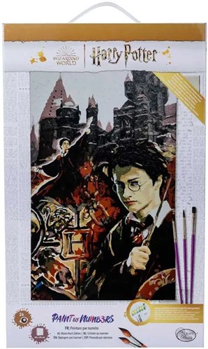Harry Potter peinture par numéros collage tableau 30x50cm créatif