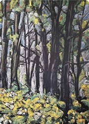 Kapitein Kalk lot de cartes - dessins artistiques à la craie forêt