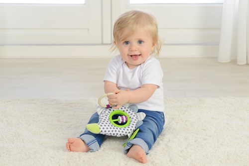 Dolce Toys Spielzeug Primo Aktivitätsanhänger Igel Henri - 21 cm-2