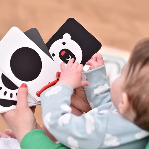 Banana Panda Banana Panda 10 High Contrast Look and Feel Babybuchkarten mit 20 Bildern / Schwarz-Weiß Babyspielzeugheft ab 0 Monaten - 9x14cm-3