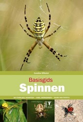 Basisgids spinnen (pb)