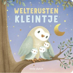 Boek Little Dutch Weltrusten Kleintje