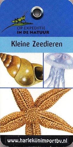 Harlekijn Kinderbuch Expedition kleine Meerestiere Hardcover lehrreich
