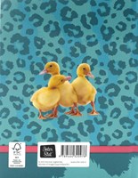 Image Books Freundebuch Tiere für Kinder ab 4 Jahren Geschenk-2