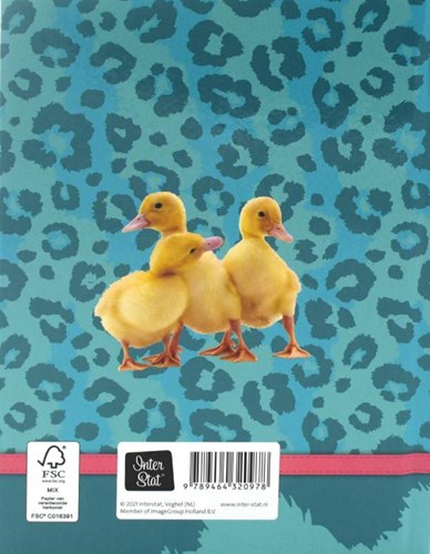Image Books Freundebuch Tiere für Kinder ab 4 Jahren Geschenk-2