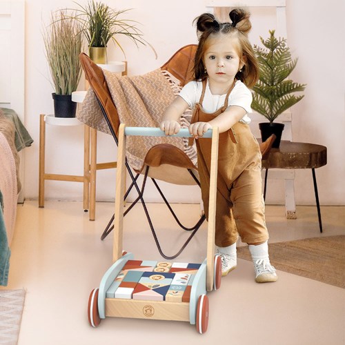 Speedy Monkey - Chariot de marche et jeu des formes 27 blocs  35,5x25x41cm-3
