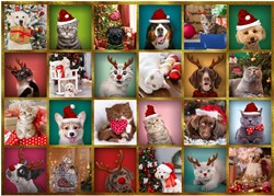 Trefl Adventskalender Tiere - Spielzeug Überraschung 42 Stück