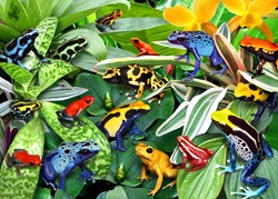 Alipson Puzzle Fun Frogs - 500 pieces