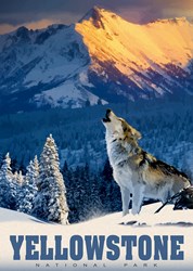 Alipson Puzzle Yellowstone Wolf - 500 pieces