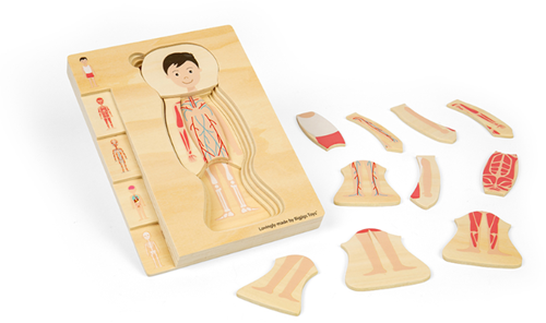 BigJigs Holz Anatomie Puzzle Junge Lernspielzeug 26 Teile