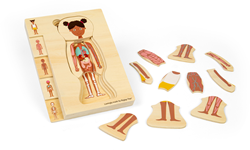 BigJigs Holz Anatomie Puzzle Mädchen Lernspielzeug 26 Teile
