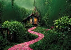 Art Puzzle puzzle Deep Forest - 1000 pièces jeu de forêt