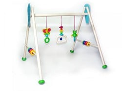 Hess Babygym kikker Toni