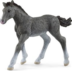 Schleich Horse Club Poulain Trakehner - 13944