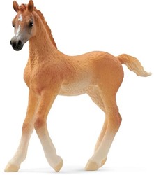 Schleich Schleich Horse Club Arabisch veulen