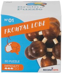 BRAIN PUZZLE 1