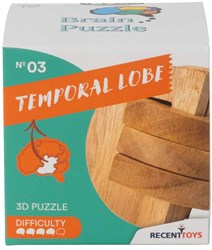 BRAIN PUZZLE 3