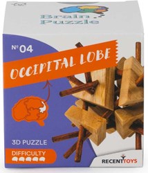 BRAIN PUZZLE 4