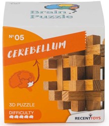 BRAIN PUZZLE 5