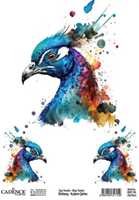Cadence Cadence Birdsong Easy Transfer 25x35 cm Pauw
