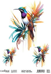 Cadence Cadence Birdsong Easy Transfer 25x35 cm Tropische vogel