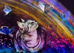 Grafika Cat and Butterflies - 500 pieces