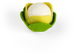 Bigjigs Toys Cauliflower (10)