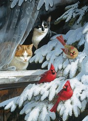 Cobble Hill Puzzle Bird Watchers 1000 Teile Puzzlespaß