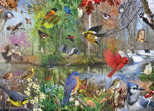 Cobble Hill Puzzle 1000 Teile - Vögel Landschaft Puzzle