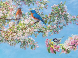 Cobble Hill puzzle Blossom Festival - 275 pièces de plaisir