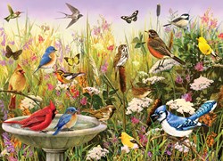 Cobble Hill puzzle 1000 pièces - Oiseaux feathered friends paysage