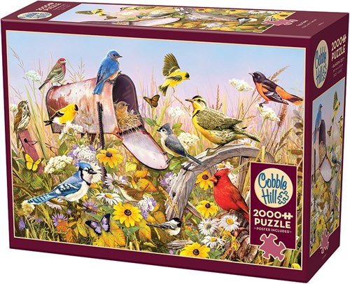 Cobble Hill Puzzle 2000 Teile - Feldlied Puzzle Erwachsene-2