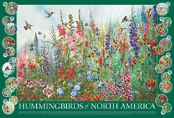 Cobble Hill puzzle 2000 pièces - Puzzle Colibris d'Amérique du Nord