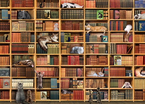 Cobble Hill puzzle chat 1000 pièces - La bibliothèque des chats