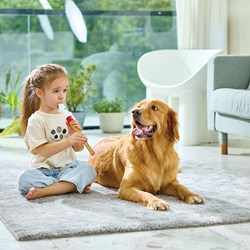 Hape Blockflöte Musikinstrument für Kinder - Lernspielzeug