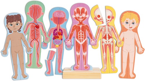 Hape Human Body Magnetic Puzzle