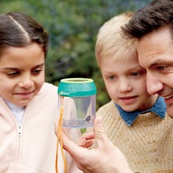 Hape Insektenbecher kleine Entdecker - Lernspielzeug Natur