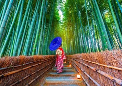 Enjoy Puzzle Asian Woman in Bamboo Forest - 1,000 pieces