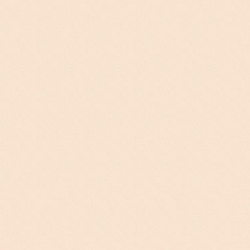 Folia Folia Fotokarton 10 vel - 300gr - Licht Beige - 50 x 70 cm
