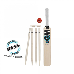 GM Diamond Cricket Set -  - 3