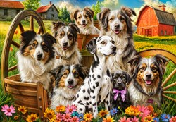 Castorland Happy Dogs In The Countryside - 1,000 pieces