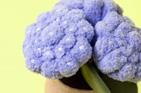 Jellycat Amuseables Hydrangea-3