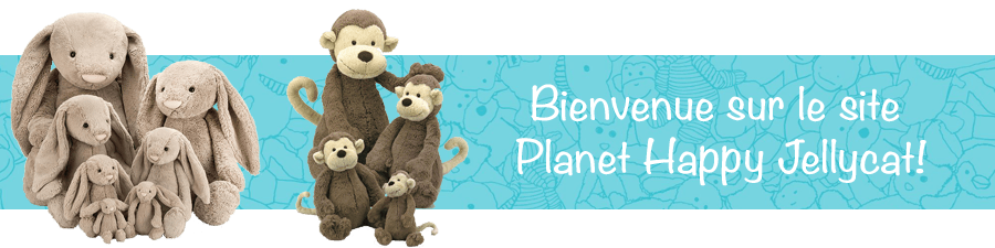 CMS - CH/fr - 1 - Intro banner