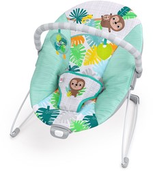 Bright Starts Wild Wonders Vibrating Bouncer