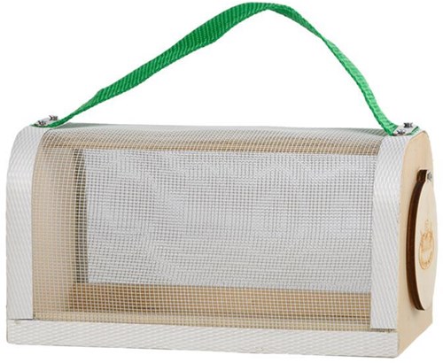 Esschert Design boîte d'observation des insectes en bois - jouet éducatif d'extérieur