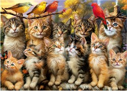 Educa Kittens And Birds (500)