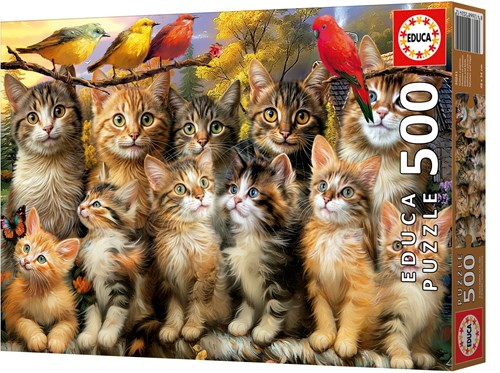 Educa Puzzle Katzen und Vögel 500 Teile Tiere Puzzle-2