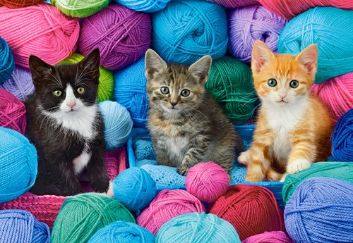 Castorland Kittens in a Yarn Store - 1,000 pieces