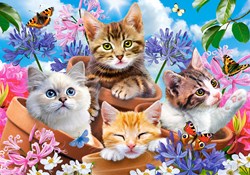 Castorland Legpuzzel Kittens with Flowers, 500st.
