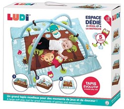 Ludi tapis d'éveil bébé chouette bleu avec arches et jouets sensoriels